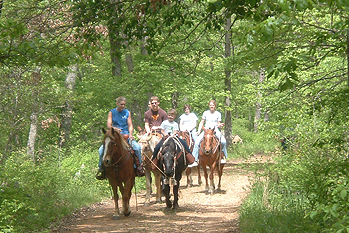 Group Horseback Rides in Arkansas